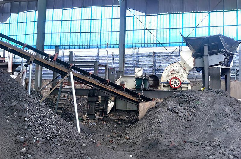 Hammer crusher used for coal processing