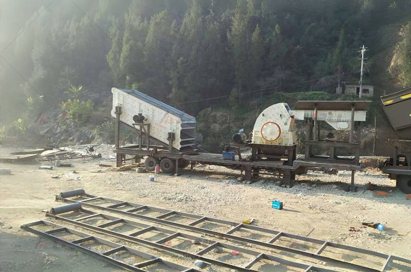 Hammer crusher operating in a mineral processing plant